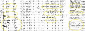 Ship manifest